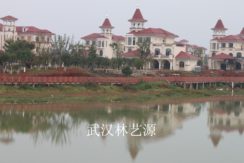 1550869190298210.jpg 111.jpg