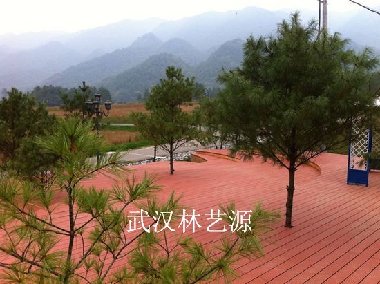 1550870217304751.jpg 111.jpg