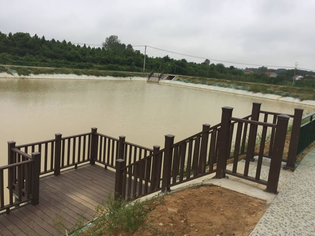 1550902150929013.jpg 111.jpg