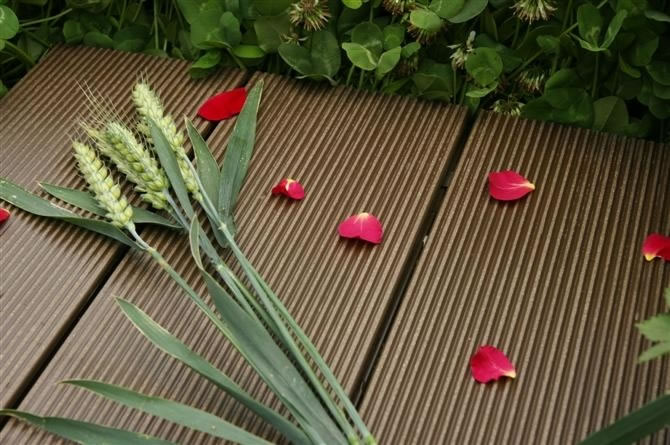 1550928373444604.jpg 222.jpg